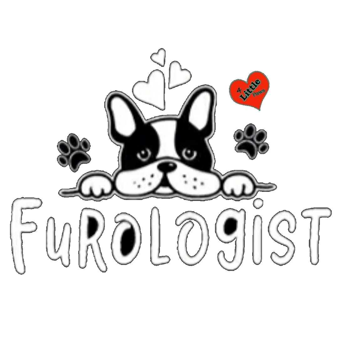 4 Little Paws logo