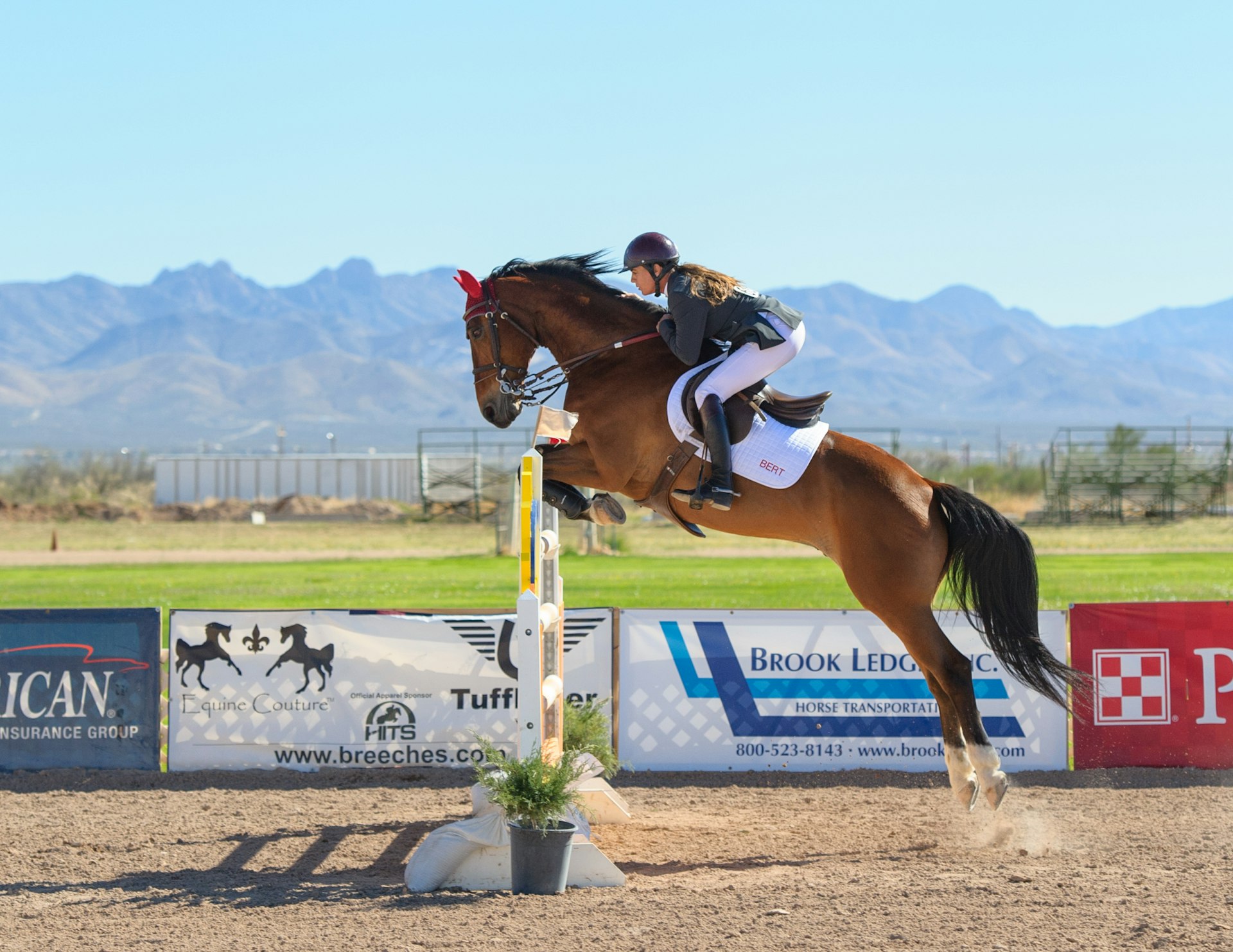 Horse and rider showjumping with the Ballyhoura Mountains in the background