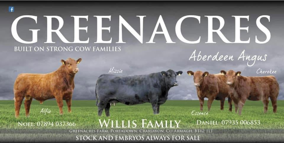 Greenacres Aberdeen Angus